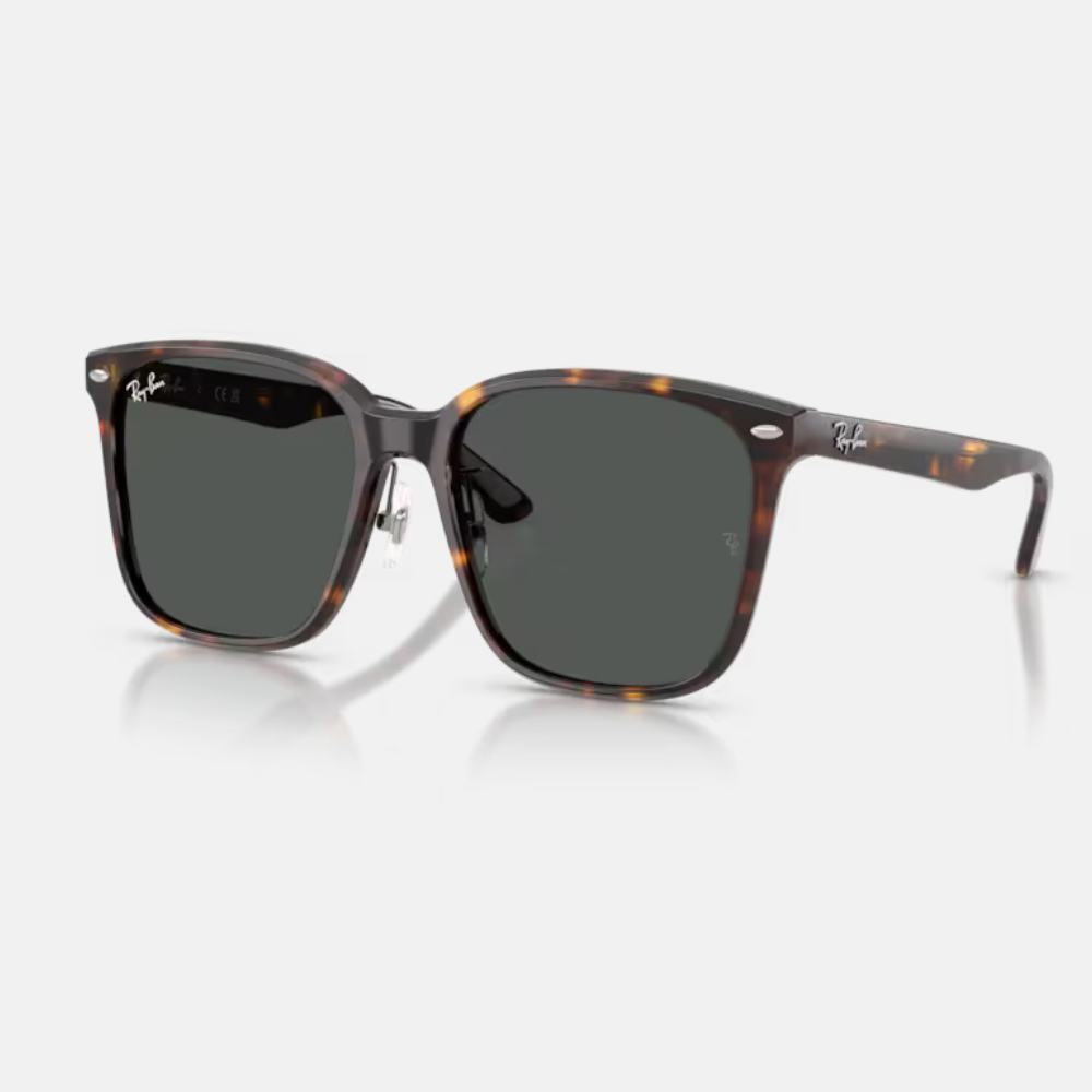 Ray Ban｜RB2206D-710/87 方形膠框太陽眼鏡/ 公司貨