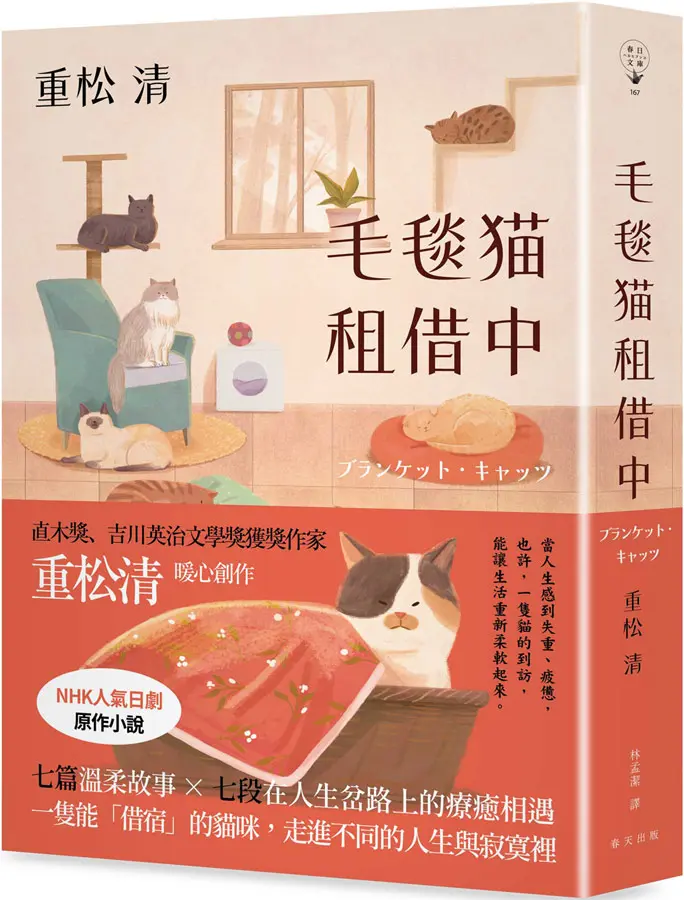 毛毯貓租借中