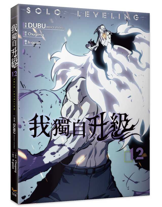 我獨自升級 11+12