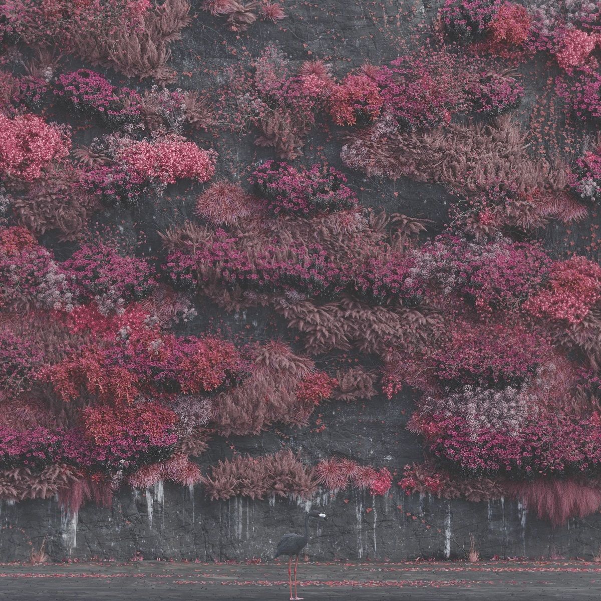 淨土不潔