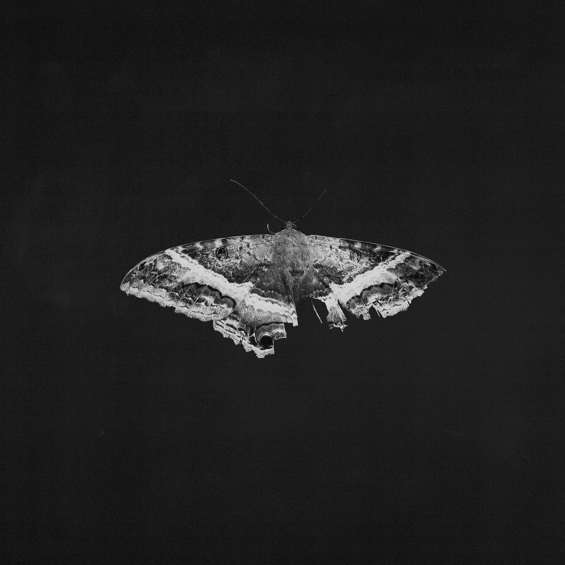 To Pimp A Butterfly (2LP/180g Vinyl/10th Anniversary Edition)
