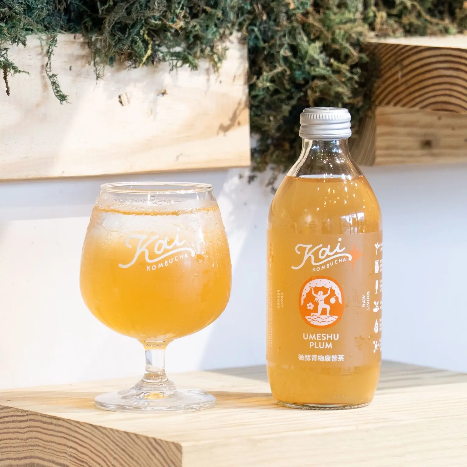 Kai Kombucha開康普茶 - 微酵青梅康普茶12入