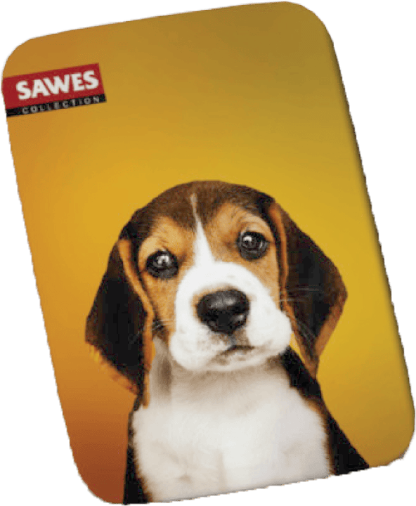 SAWES利格芬喉糖/ Beagle dog