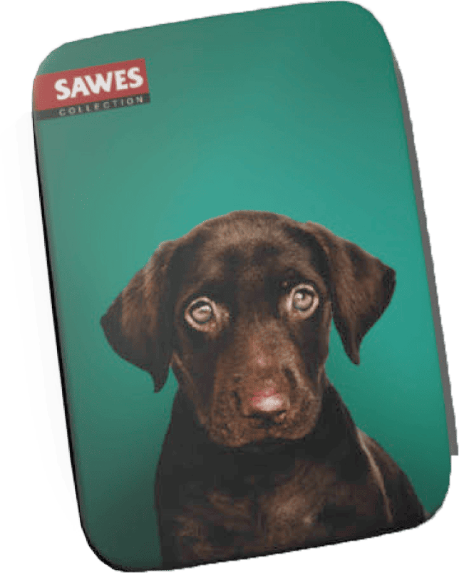SAWES利格芬喉糖/ Black Labrador