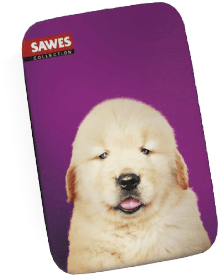 SAWES利格芬喉糖/ golden retriever puppy
