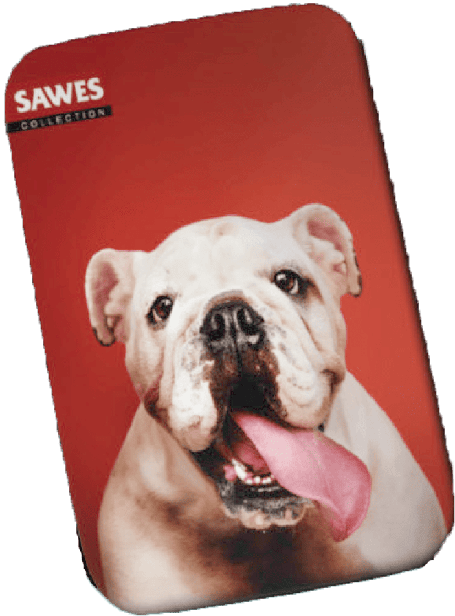 SAWES利格芬喉糖/ Bulldog puppy