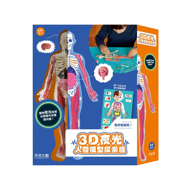 3D夜光人體模型探索組
