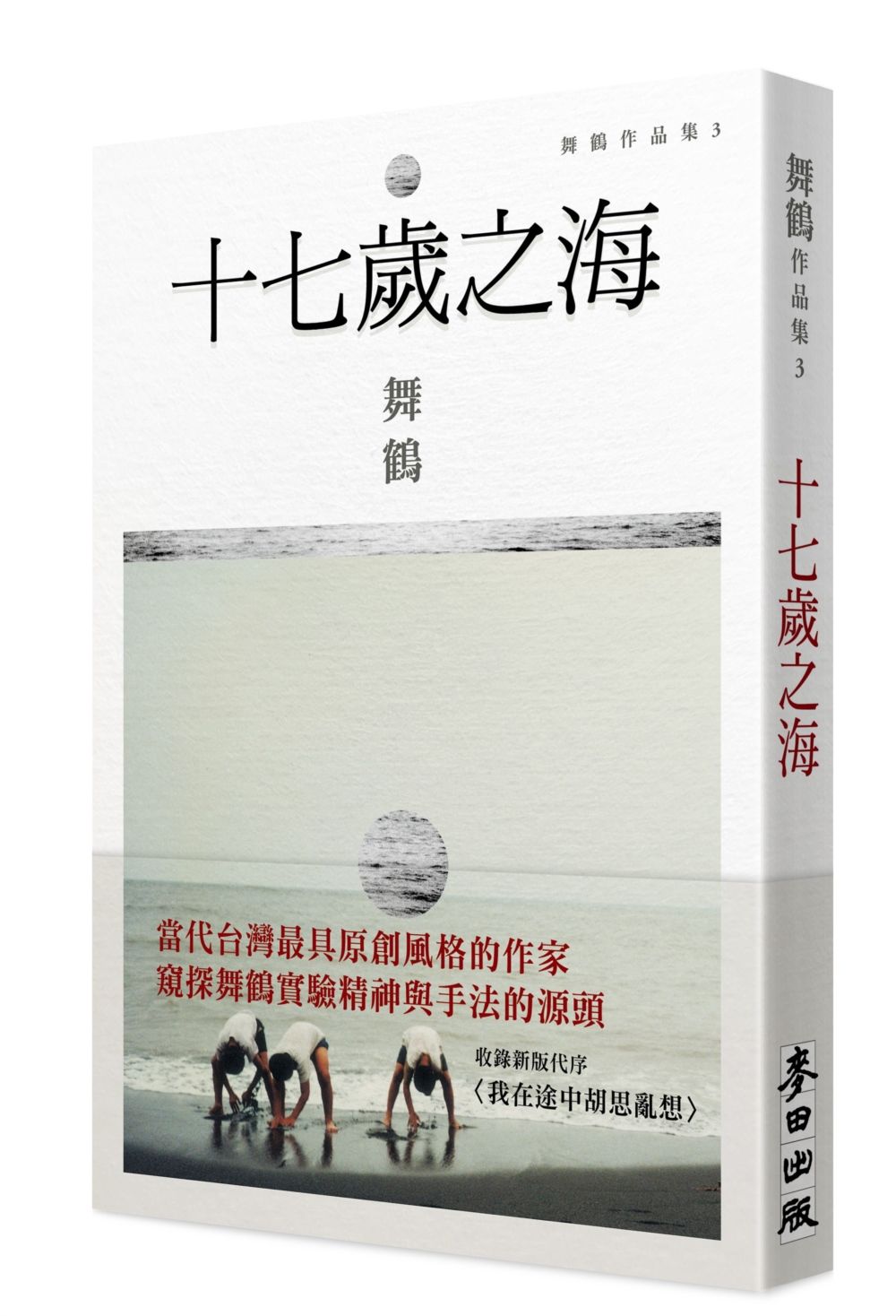 十七歲之海 (新藏版)