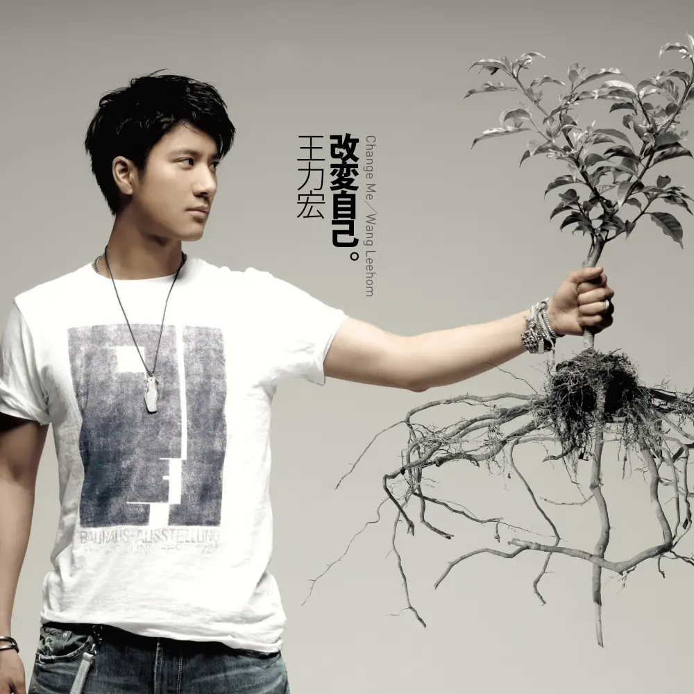 改變自己 (180克灰色彩膠)