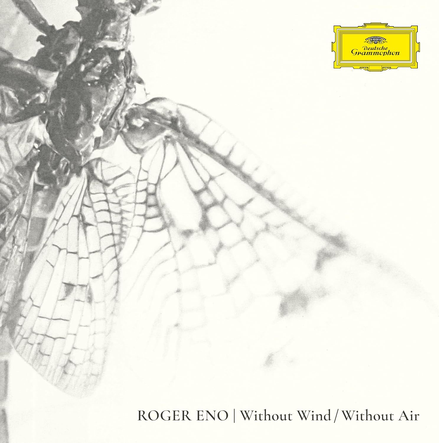 Without Wind/ Without Air (Black Vinyl)