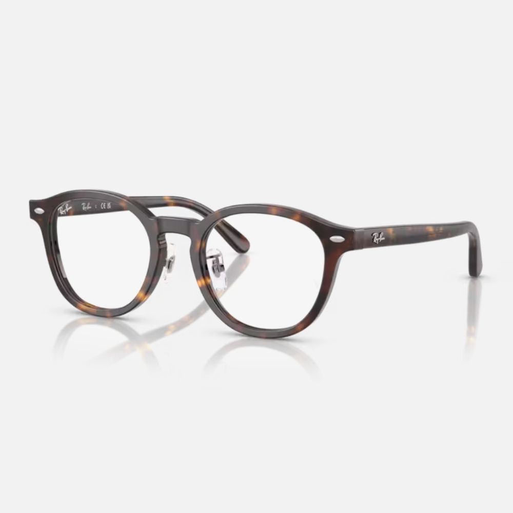 Ray Ban｜RX5443D-2012 圓形膠框光學眼鏡/ 公司貨