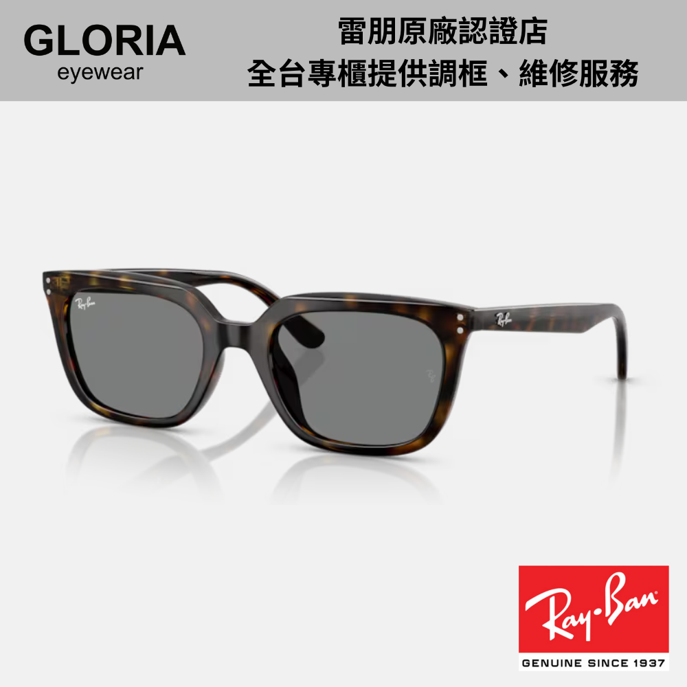 Ray Ban｜RB4439D-710/87 方形膠框太陽眼鏡/ 公司貨