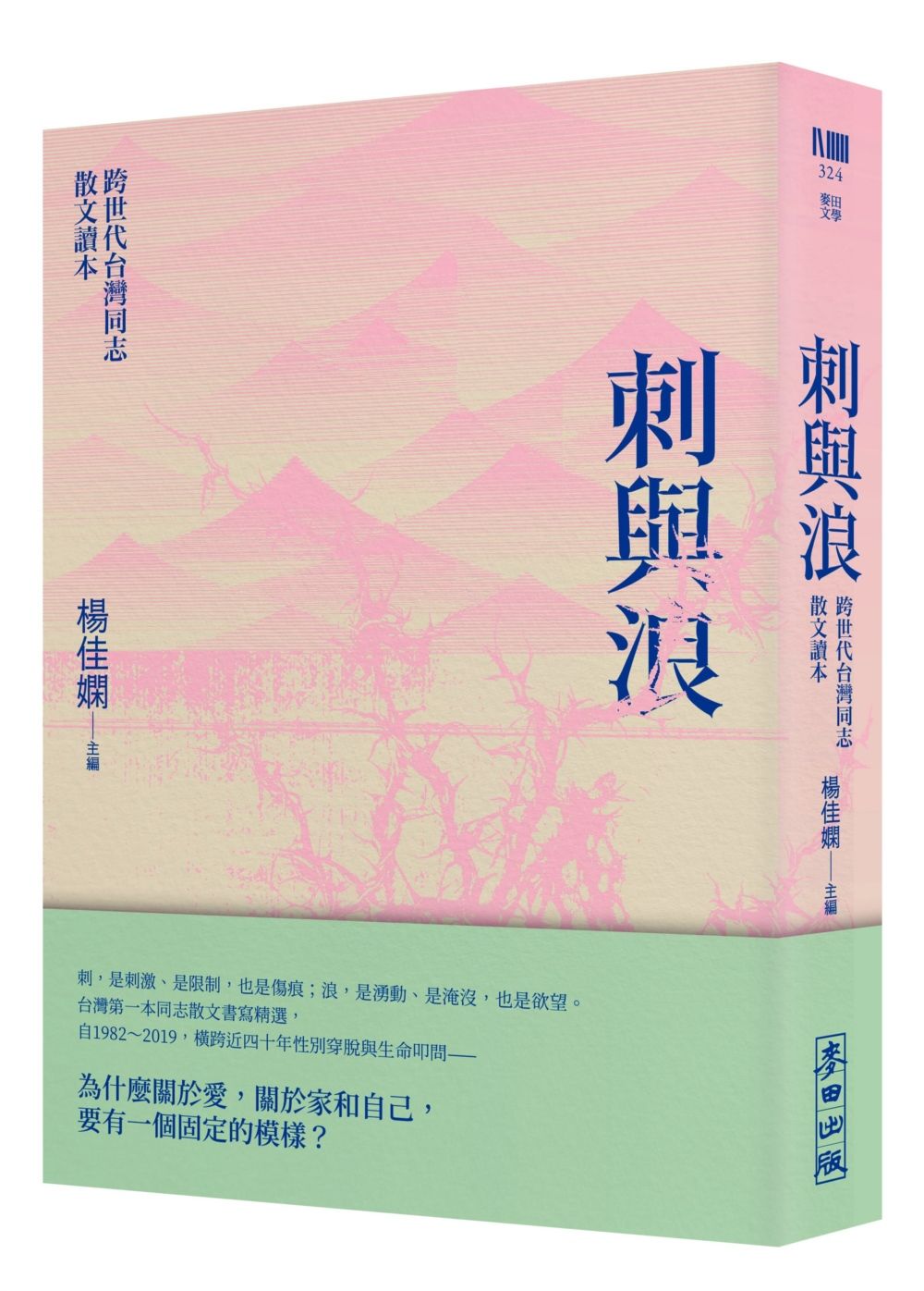 刺與浪: 跨世代台灣同志散文讀本 (新版)
