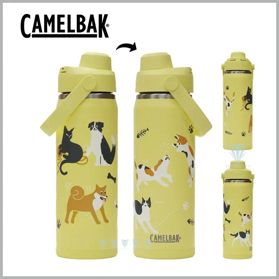結帳現折8%🔥CamelBak 600ml Chug 不鏽鋼彈蓋運動保溫/保冰瓶 -動物體表會 -汪喵星樂園