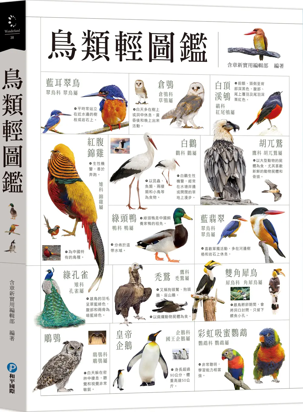 鳥類輕圖鑑