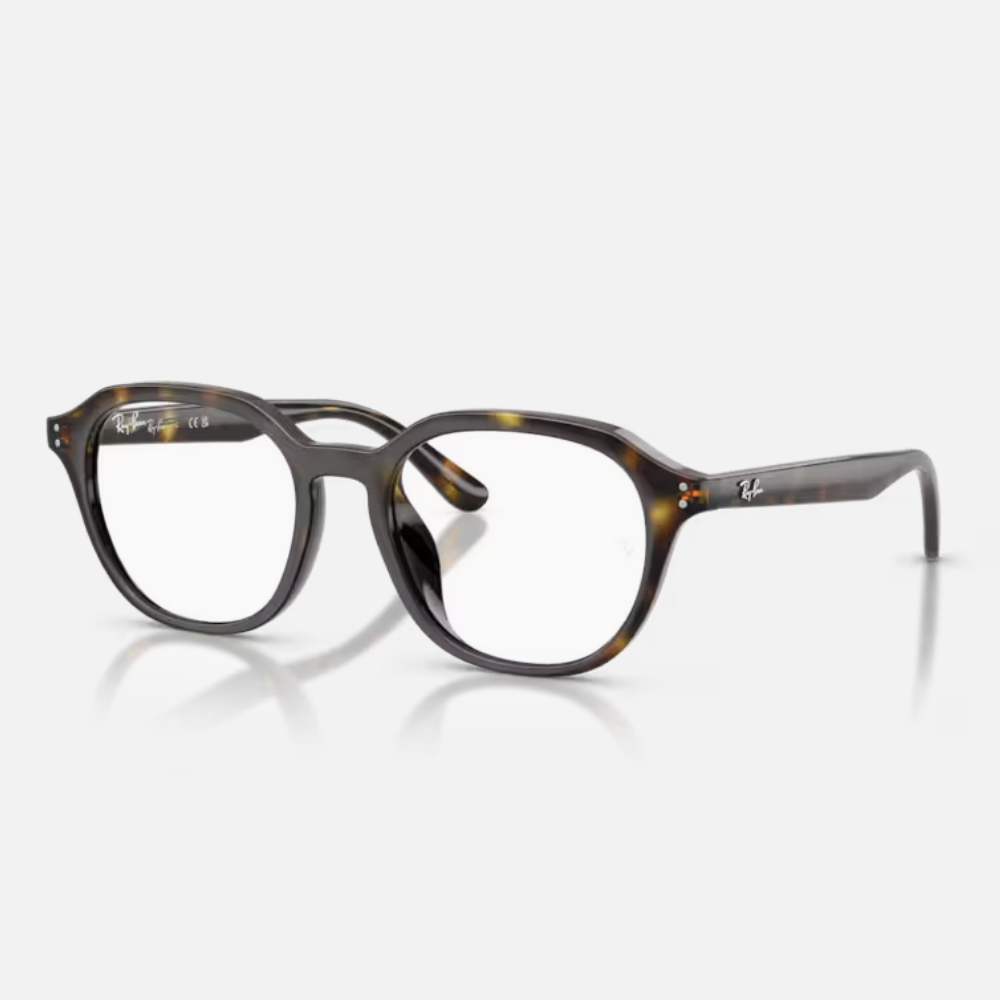Ray Ban｜RX7259D-2012 圓形膠框光學眼鏡/ 公司貨