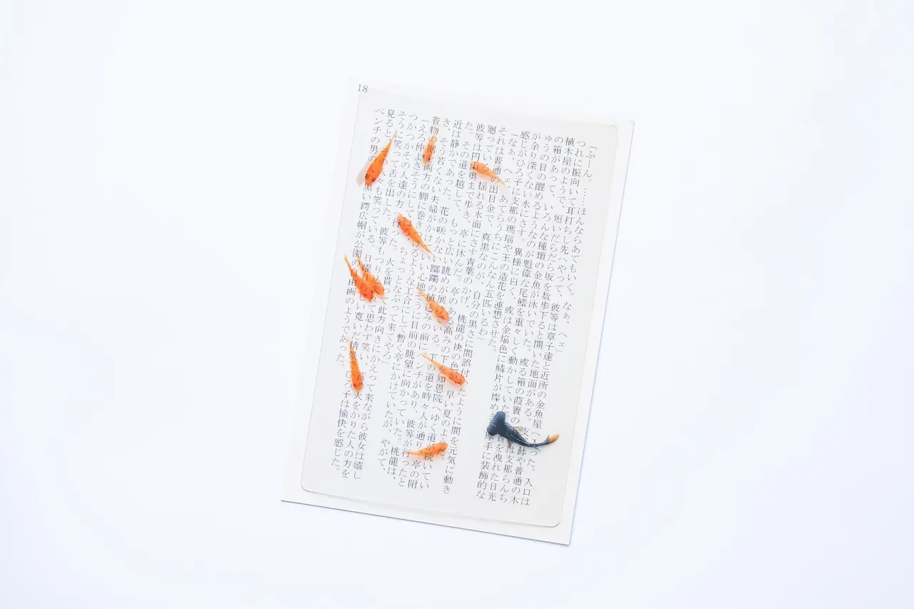 日本 & focus.透明書籤/ A6/ 金魚書中游 10