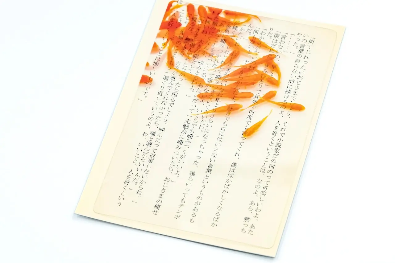 日本 & focus.透明書籤/ A6/ 金魚書中游 2
