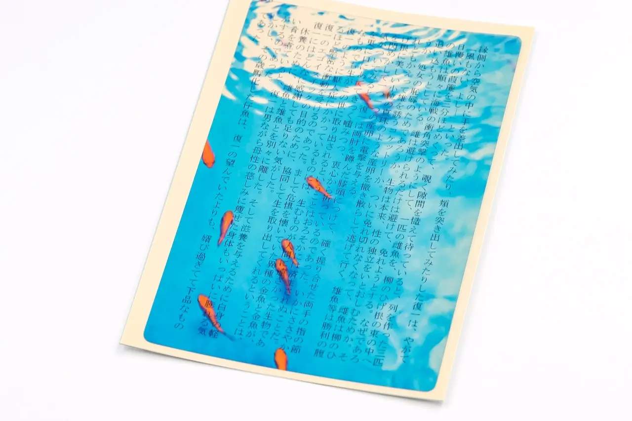 日本 & focus.透明書籤/ A6/ 金魚書中游 8