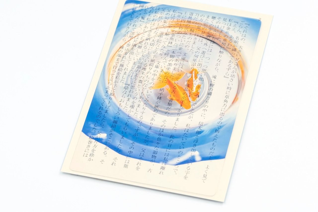 日本 & focus.透明書籤/ A6/ 金魚書中游 9