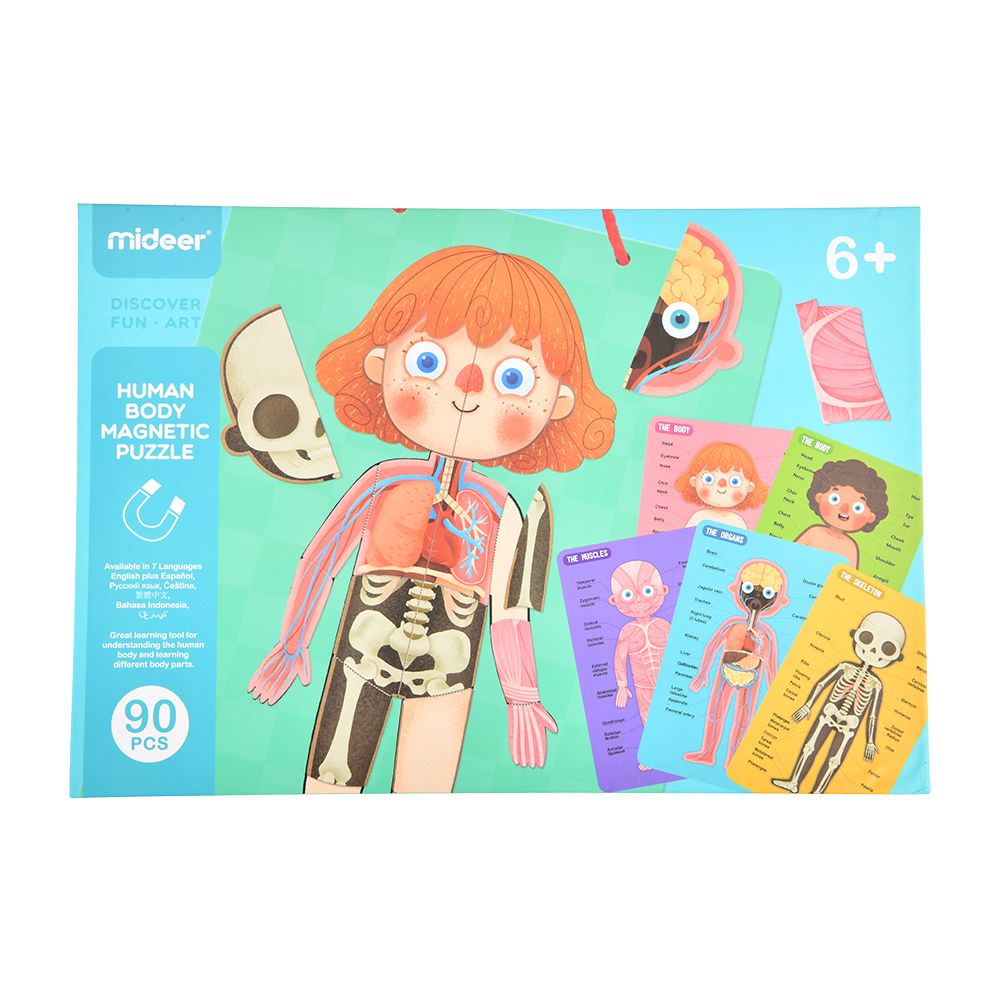 MiDeer可掛式人體認知磁力貼遊戲組/ 90pcs