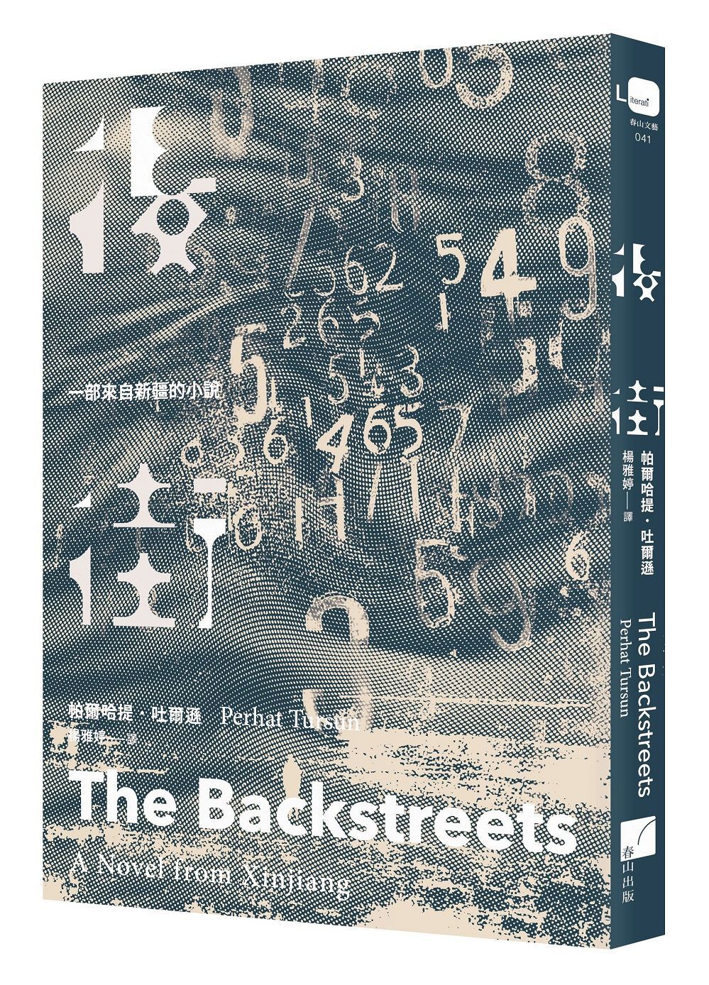 後街: 一部來自新疆的小說