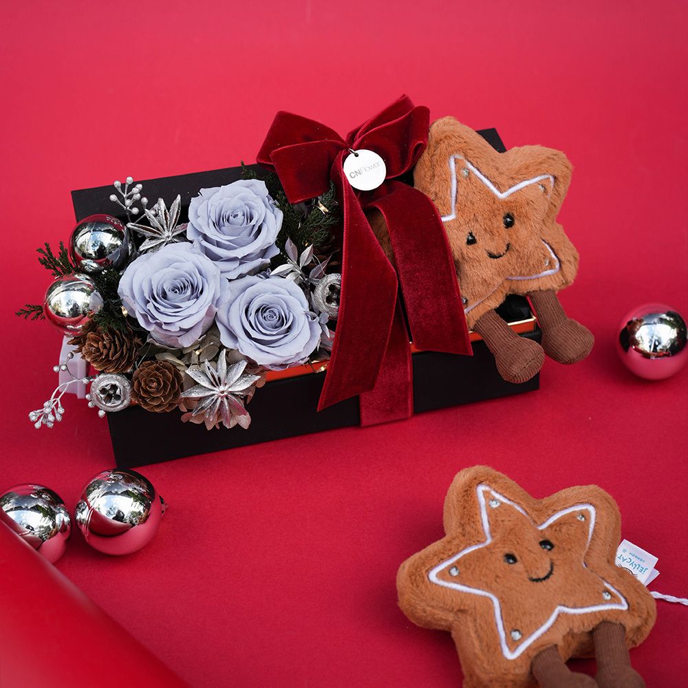 結帳驚喜價➤CNFlower西恩 Jellycat聖誕恆星花禮
