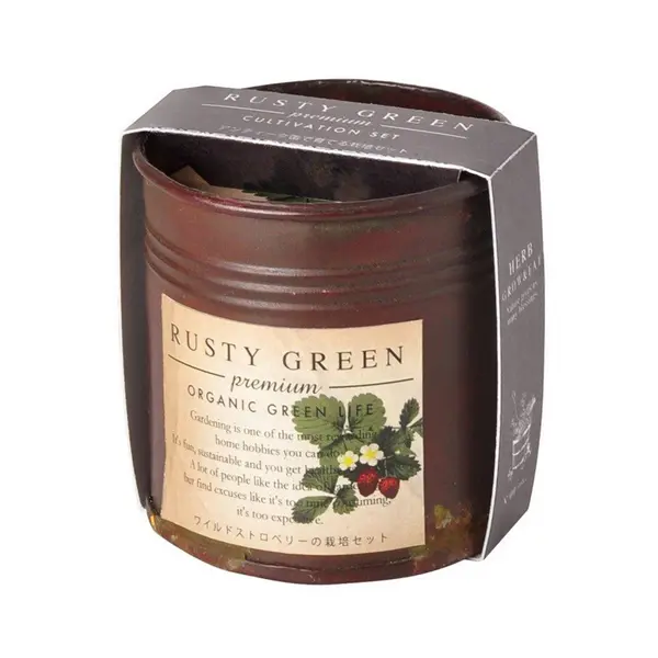 聖新陶芸Rusty Green/ 小草莓
