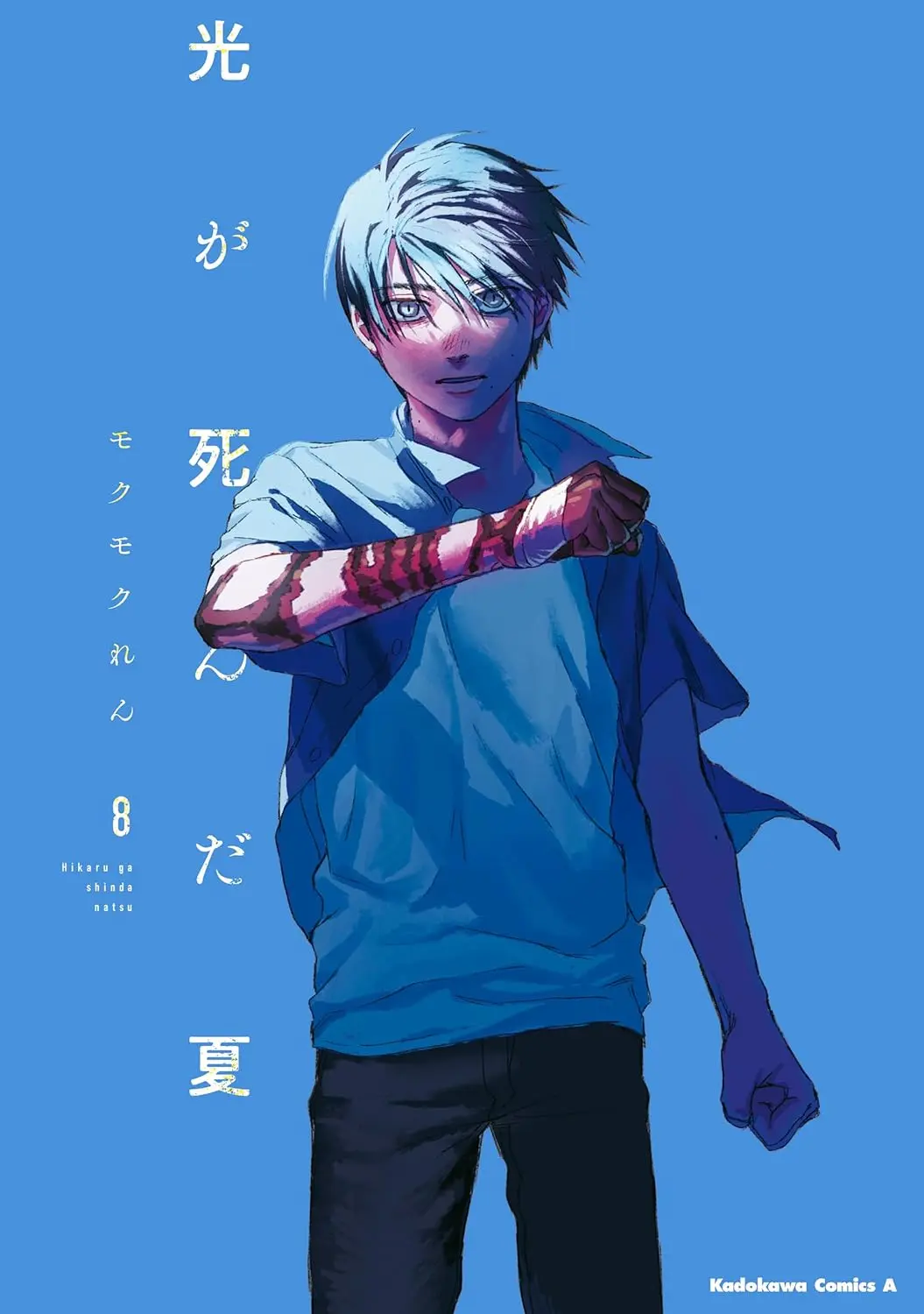 《光逝去的夏天》第8集