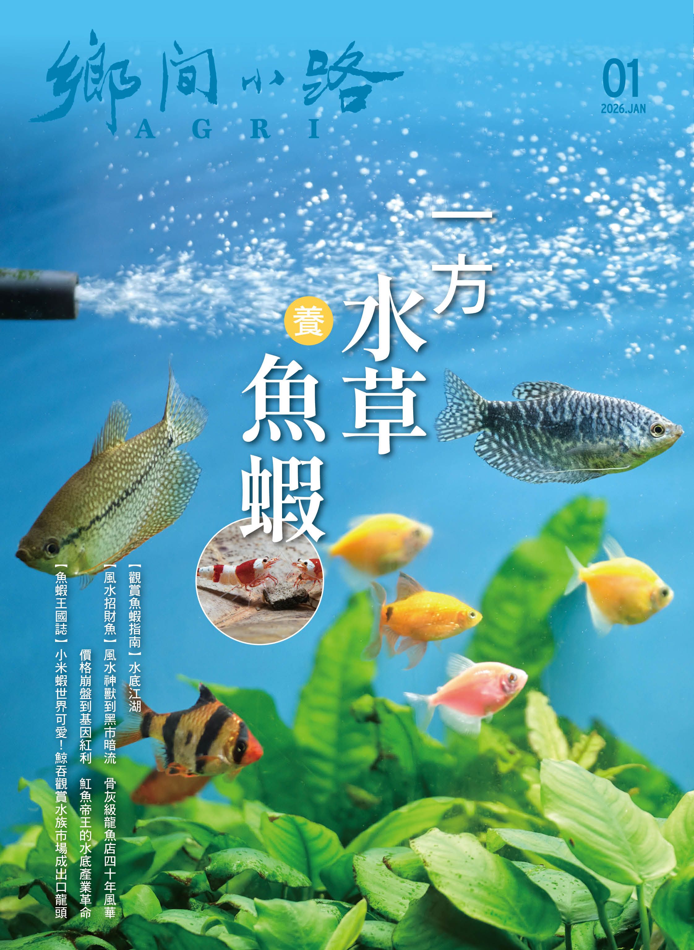 AGRI鄉間小路, 一月