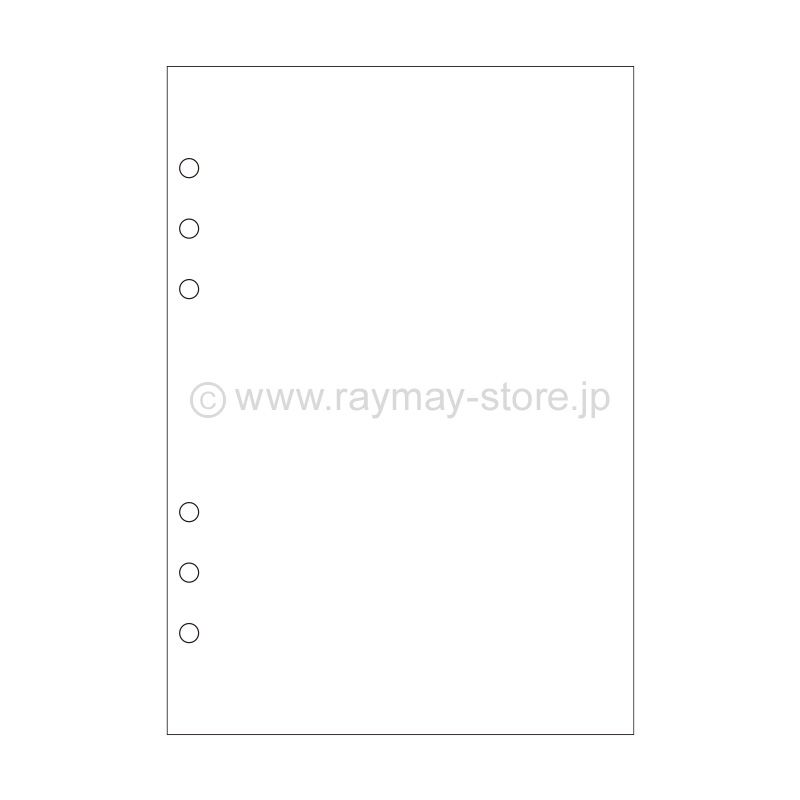 Raymay Davinci A5空白內頁/白/100頁