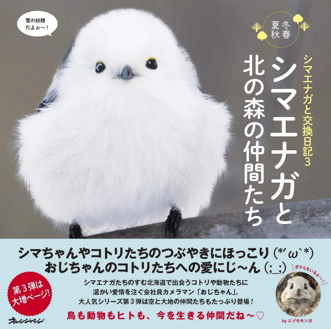 與北長尾山雀✦交換日記 3