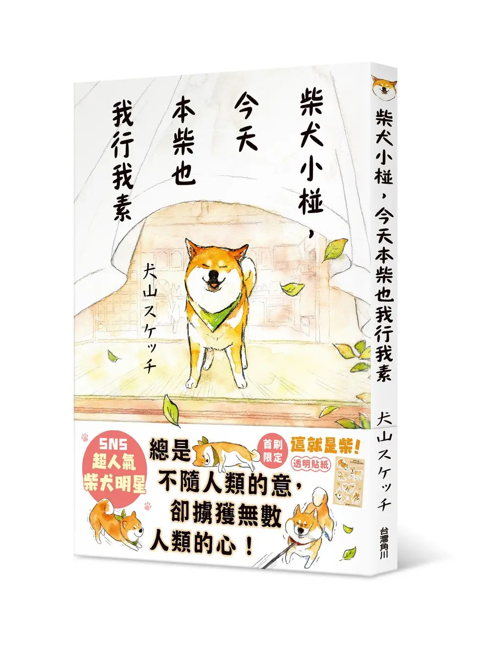 柴犬小椪, 今天本柴也我行我素