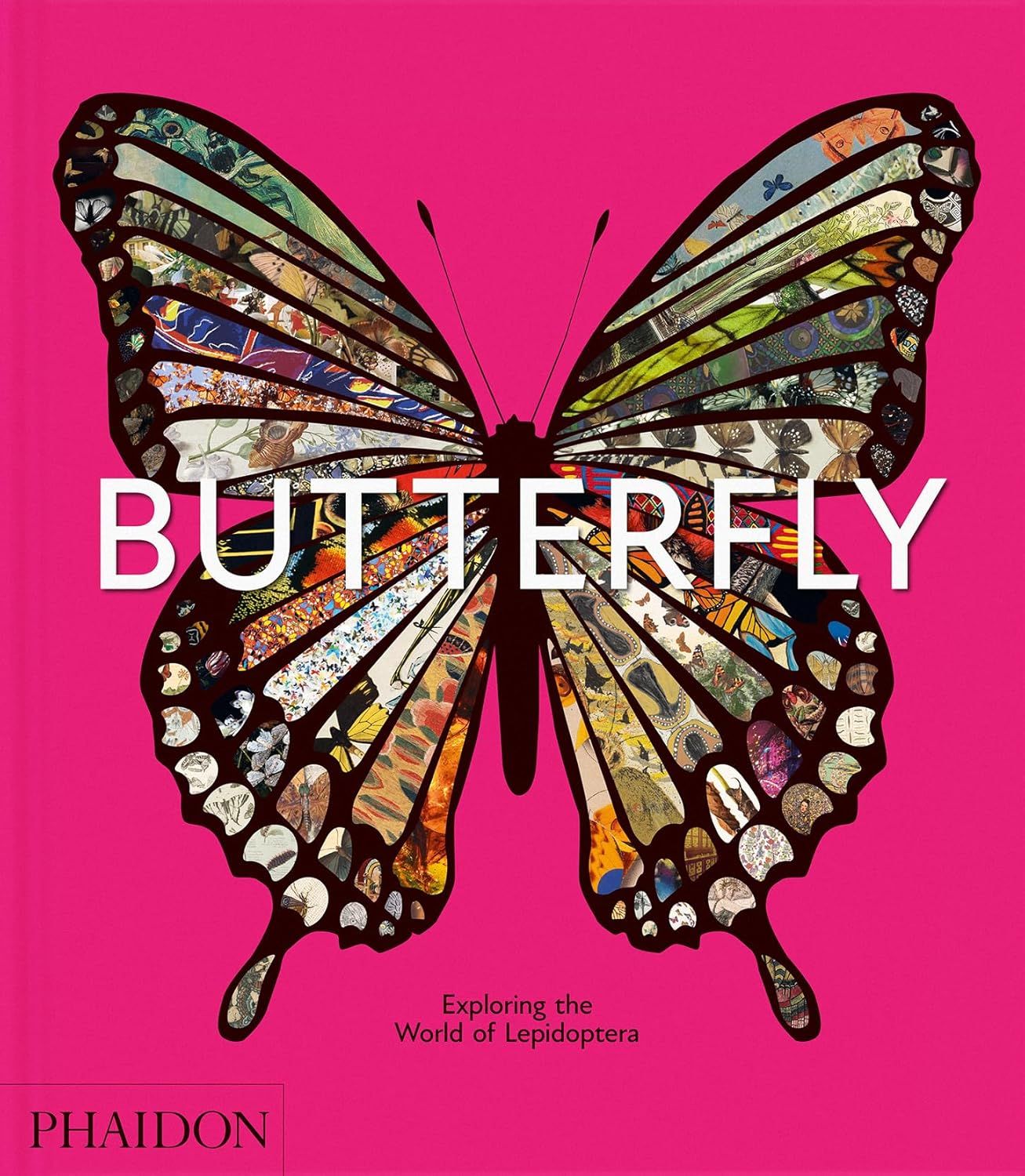 Butterfly: Exploring the World of Lepidoptera