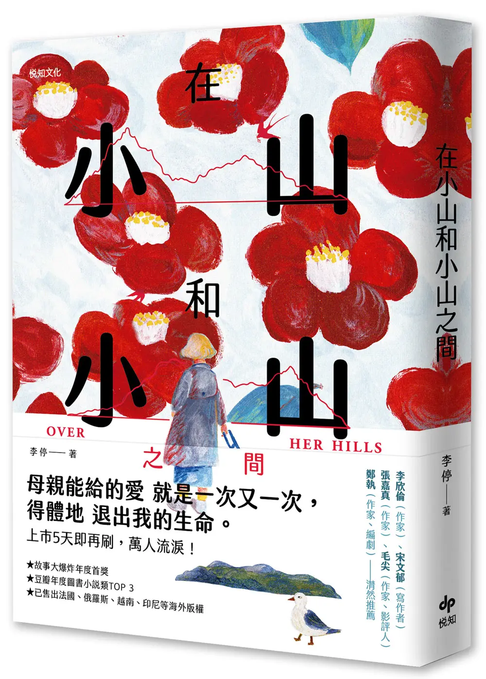 在小山和小山之間: 故事大爆炸年度首獎之作