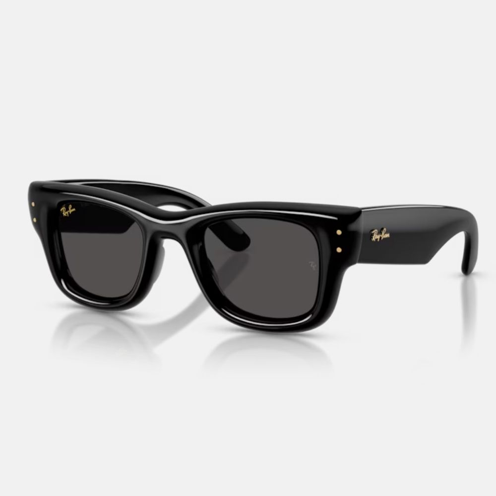 Ray Ban｜RB4940-601/87 Jennie同款 Wayfarer Puffer膠框太陽眼鏡/ 47mm/ 公司貨