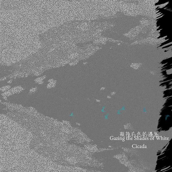 Cicada➤凝視白色的邊界