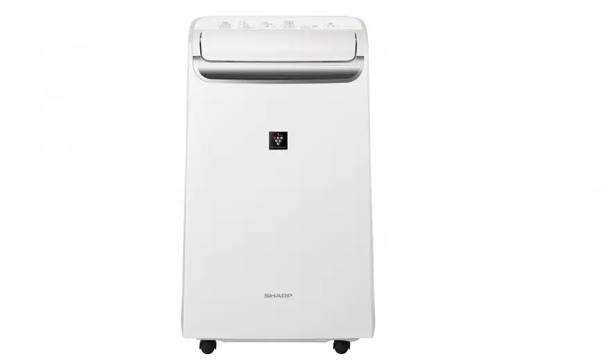 SHARP 夏普 12公升 自動除菌離子 3合1智慧空氣清淨除濕機 DW-WA12FT-S
