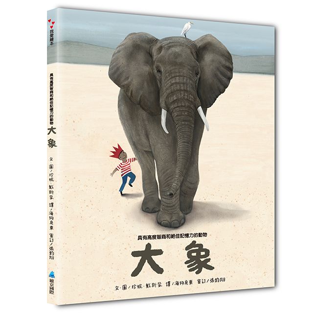 具有高度智商和絕佳記憶力的動物: 大象
