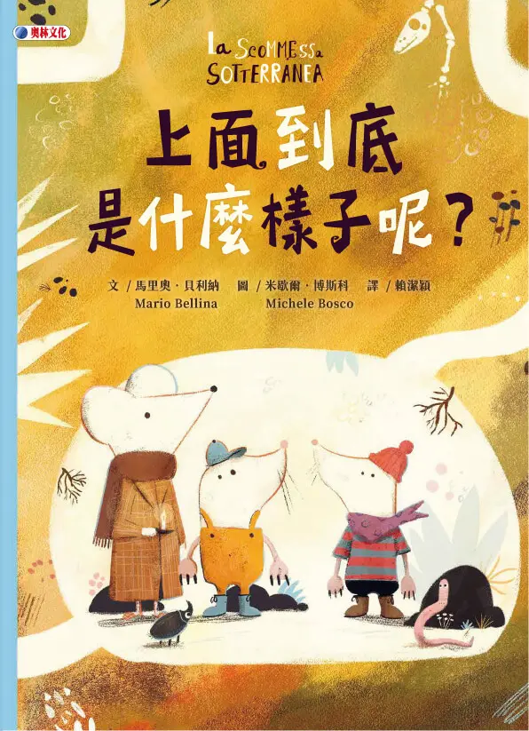 上面到底是什麼樣子呢?