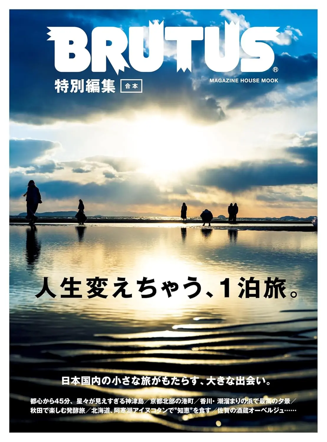 BRUTUS特別編集 合本: 人生変えちゃう、１泊旅。