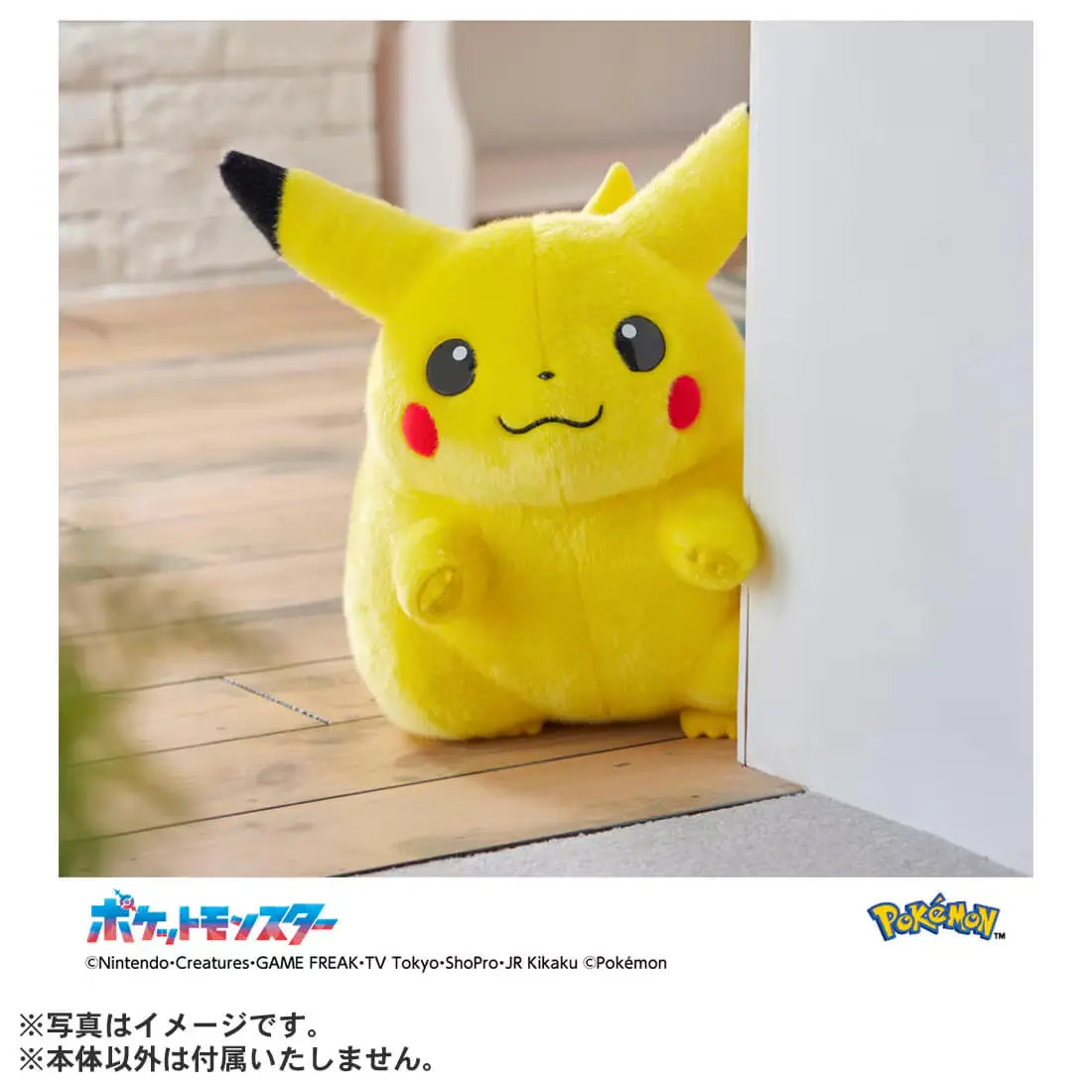 Pokemon寶可夢30週年紀念/ 回來吧! 皮卡丘! 絨毛玩偶