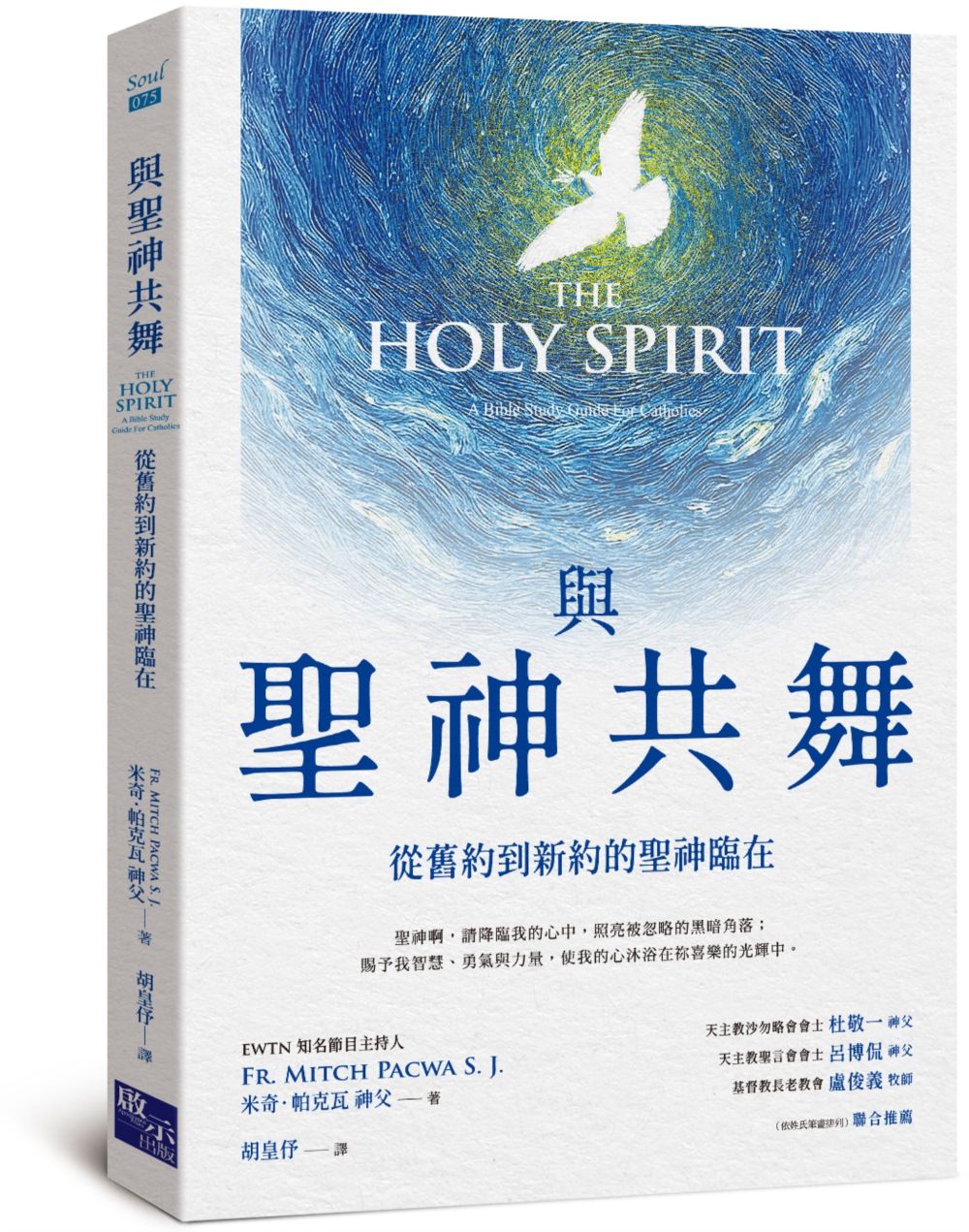 與聖神共舞: 從舊約到新約的聖神臨在