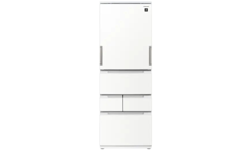 【SHARP 夏普】457公升 一級能效自動除菌智慧左右開任意門變頻冰箱 SJ-PW46KT-W 典雅白