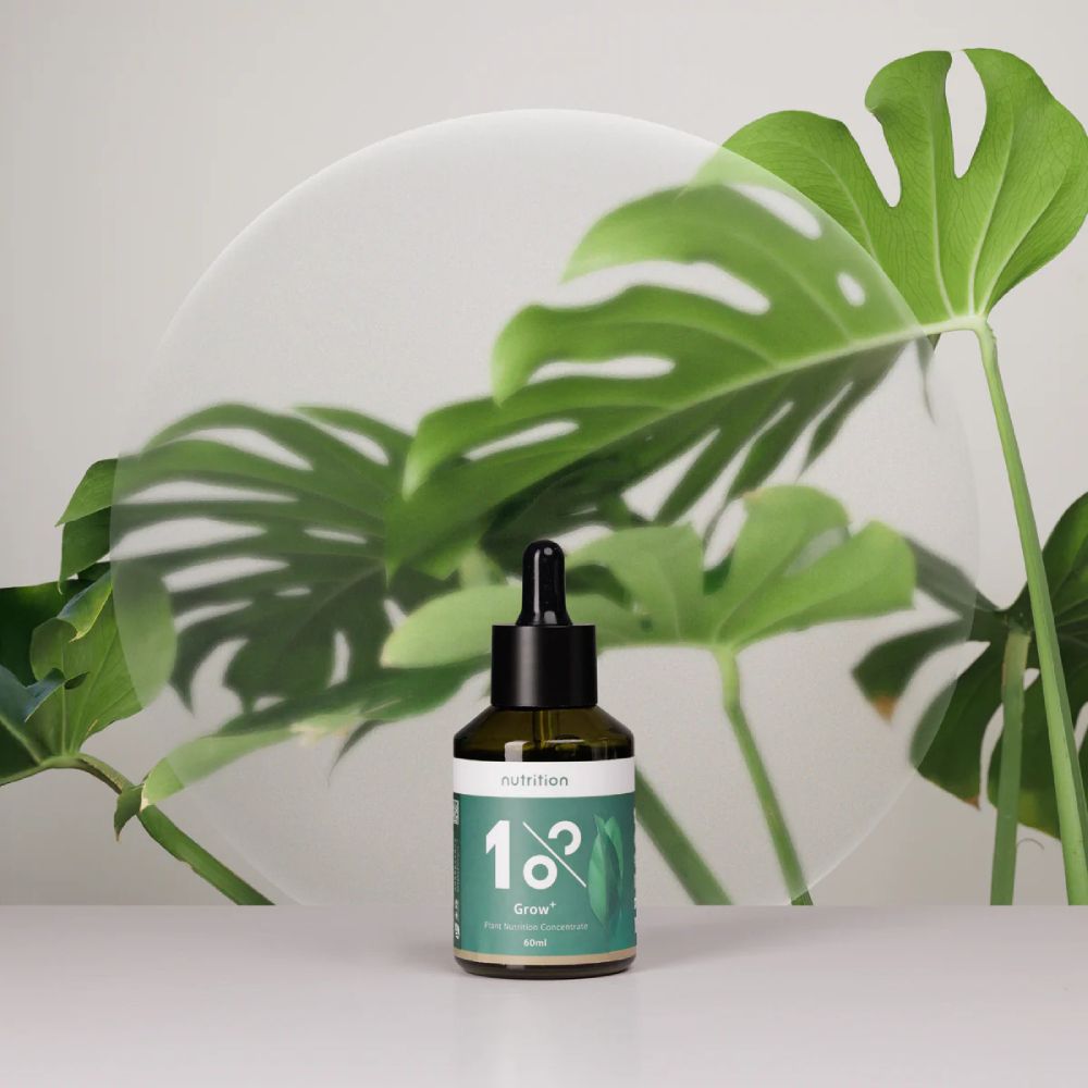1%植物營養精華/ 60ml/ 1入