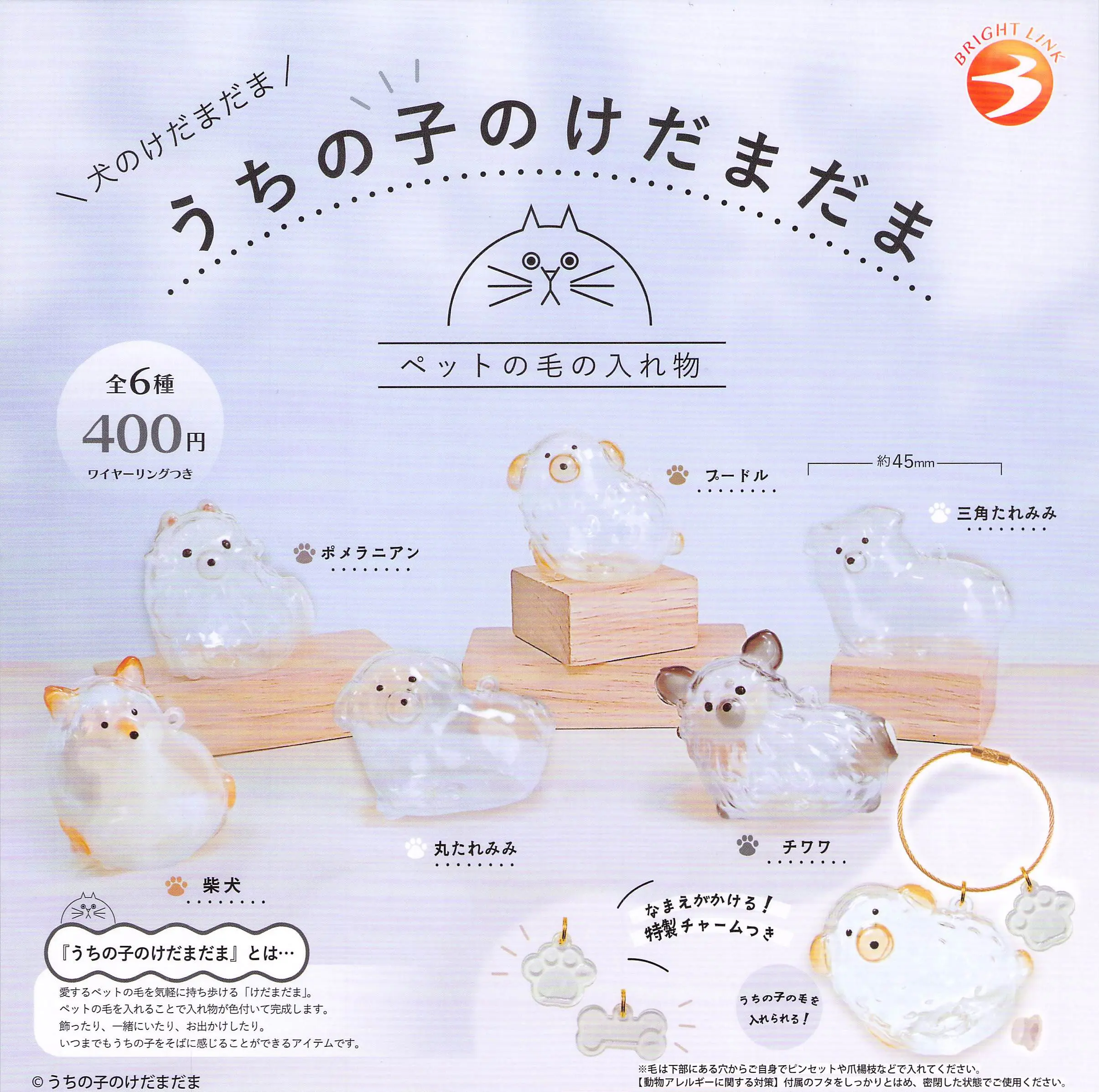 BRIGHT LINK扭蛋/ 我家毛孩透明吊飾/ 狗狗篇/ 單入隨機