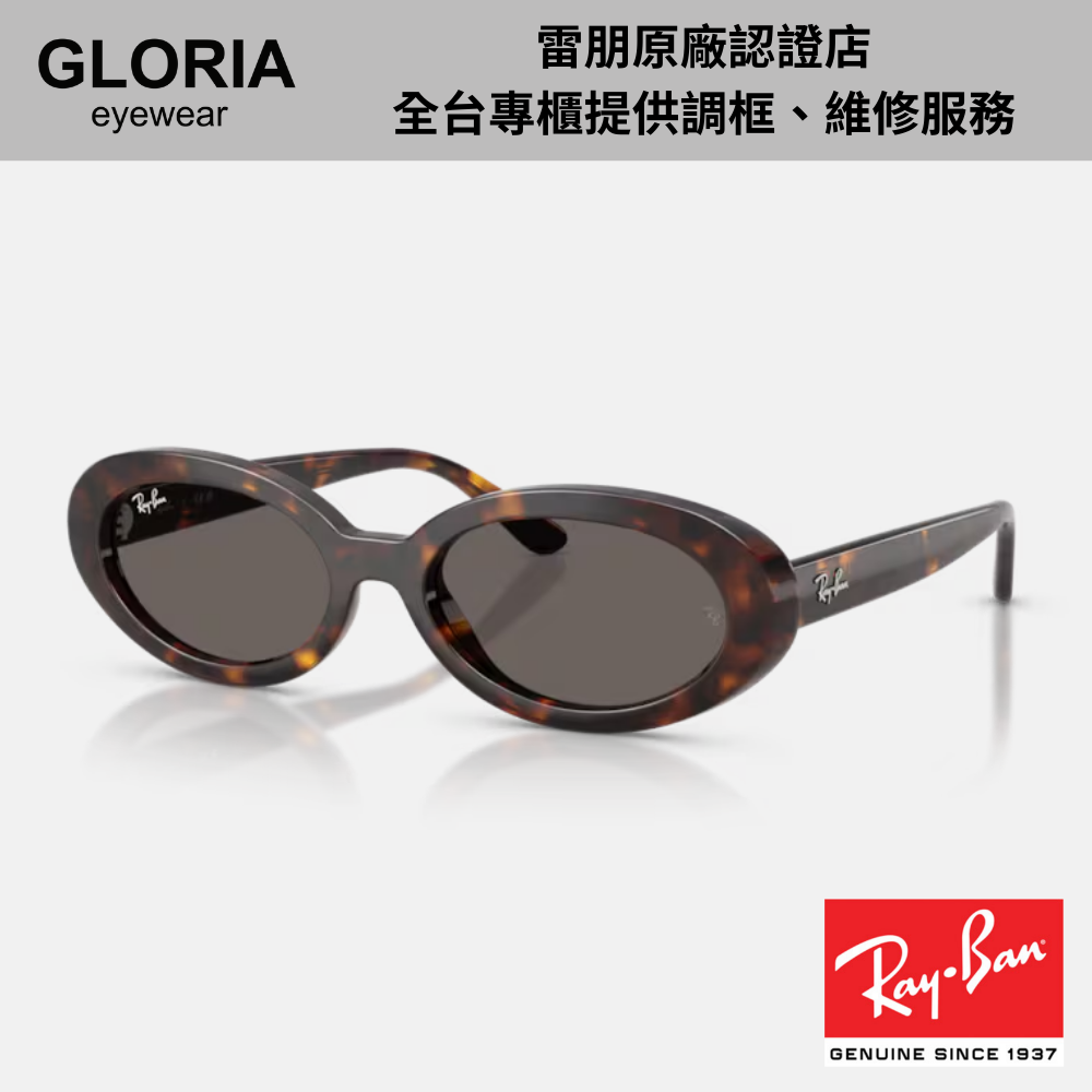 Ray Ban｜RB2223F-902/B1 橢圓膠框太陽眼鏡/ 公司貨