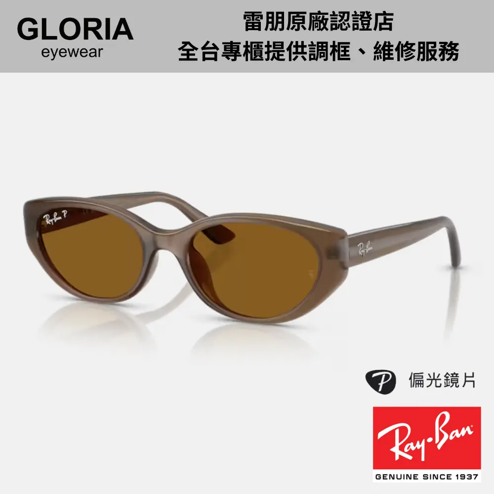 Ray Ban｜RB4457D-677983 貓眼膠框偏光太陽眼鏡/ 公司貨