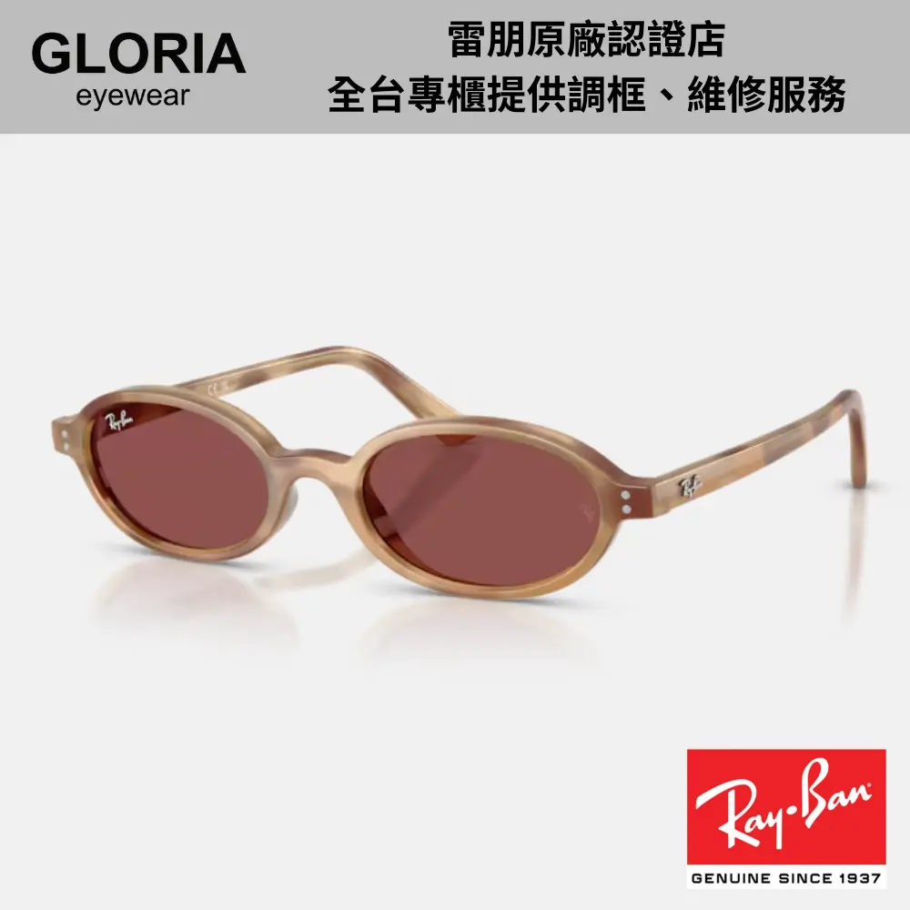 Ray Ban｜RB4472-685675 橢圓膠框太陽眼鏡/ 公司貨
