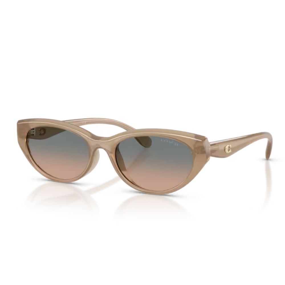 COACH｜HC8456D-594413 貓眼膠框太陽眼鏡/ 公司貨